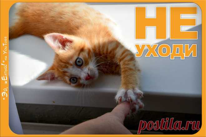 Эй Желтый