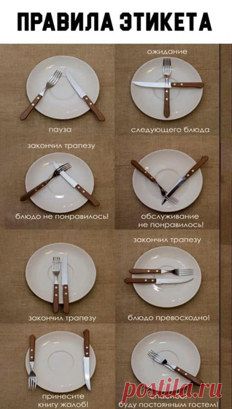(551) Pinterest