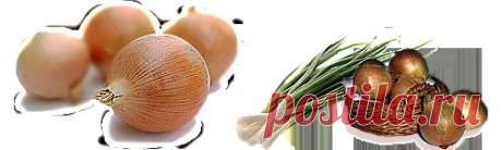 Лечение луком | Нетрадиционные методы лечения