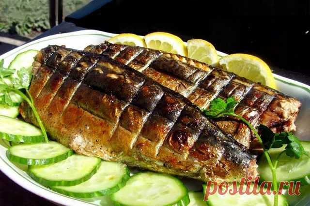 Скумбрия на мангале 

Ингредиенты: 
свежемороженая скумбрия, 
майонез, горчица, кетчуп, 
чеснок, 
лук, 
специи для рыбы, соль, перец, 
растительное масло. 

Приготовление: 
1. Скумбрию разморозить. 
2. Сделать соус из майонеза, горчицы, кетчупа, растительного масла, специй и соли. 
3. Туда же добавить измельчённый чеснок и натертый на крупной терке лук. 
4. Всё хорошо перемешать и намазать скумбрию. 
5. Сложить в чашку и оставить на 3-5 часов мариноваться. 
6. Готовить на ...
