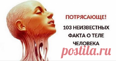 Ошеломительные факты о человеческом теле