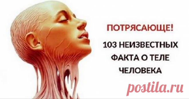 Ошеломительные факты о человеческом теле