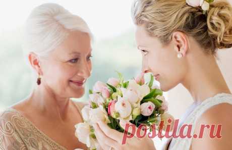 Семья моя | Lara's Stories | Дзен