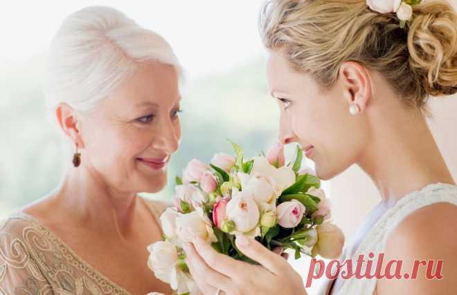 Семья моя | Lara's Stories | Дзен