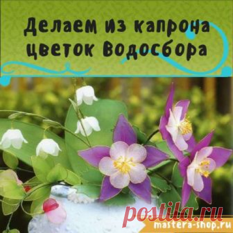 Магазин Мастеров Рукоделия - Цветы из капрона своими руками. Как сделать цветы Водосбора поэтапно