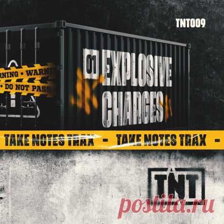 VA - EXPLOSIVE CHARGES 01 TNT009 FLAC » MinimalFreaks.co
