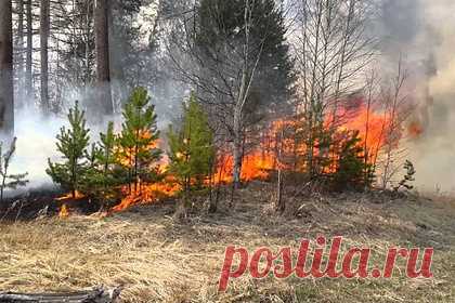 В Ростовской области назвали поджоги вероятной причиной лесных пожаров. Среди причин природных пожаров в Ростовской области не исключены поджоги, заявил губернатор региона Василий Голубев. «Мы видим, что здесь есть и человеческий фактор. Не исключаем поджоги», — сказал он. Также Голубев допустил, что пожары могли возникнуть из-за высокой температуры и ветра.