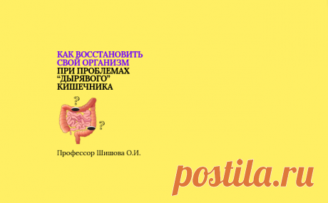 ✅Как восстановить свой организм при проблемах “дырявого” кишечника | Онлайн-школа «Код здоровья" | Дзен