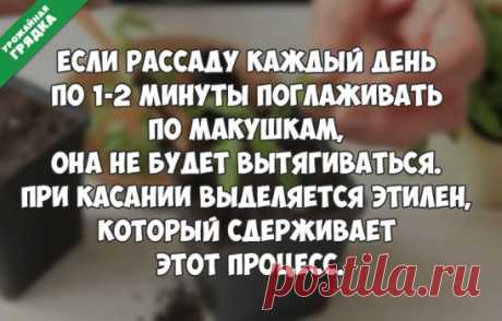 Вот такой необычный способ