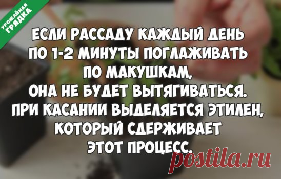 Вот такой необычный способ
