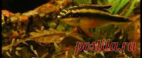 Мирный - Part 5