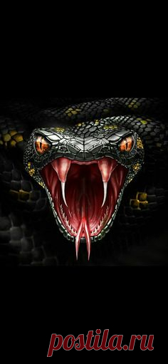 (154) Pinterest