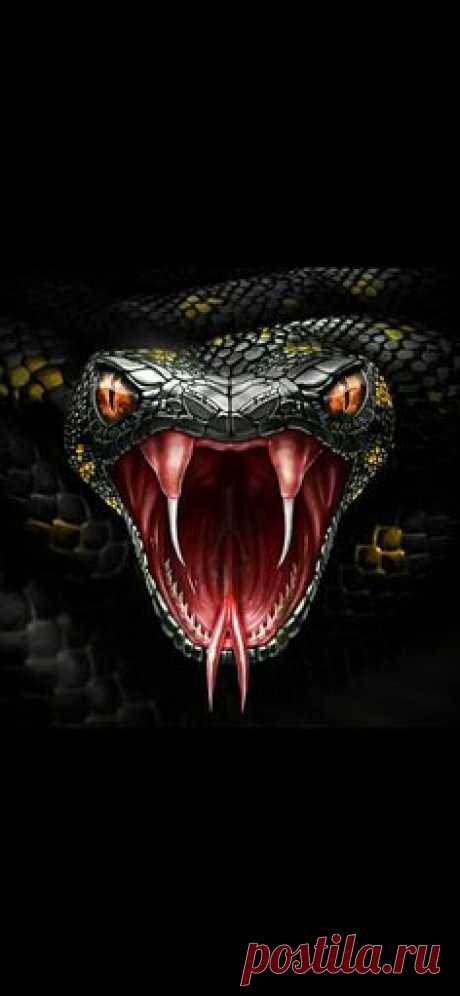 (154) Pinterest