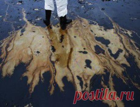 Немного о подкормке рассады томатов. Недостаток и избыток питательных веществ |  томатов на дачном участке