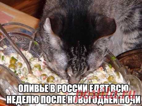 (37) Одноклассники