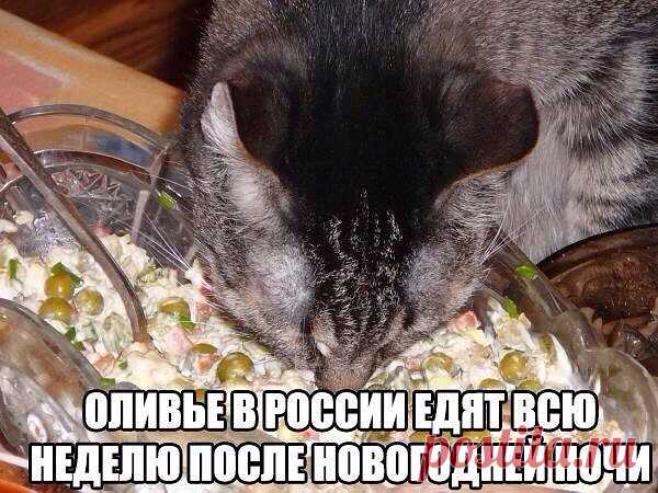 (37) Одноклассники