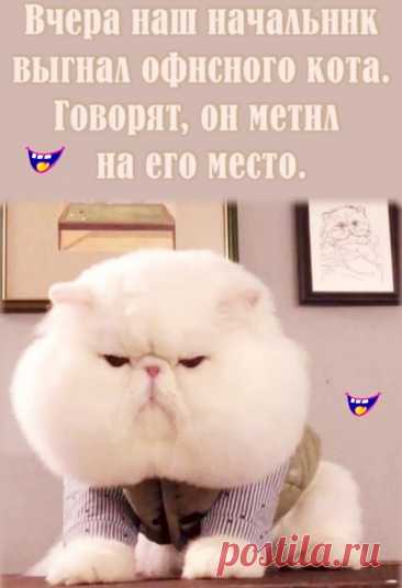 Выпуск №6398 - выпуск анекдотов сайта вокруг смеха