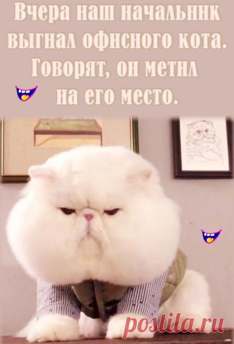 Выпуск №6398 - выпуск анекдотов сайта вокруг смеха