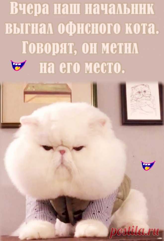Выпуск №6398 - выпуск анекдотов сайта вокруг смеха