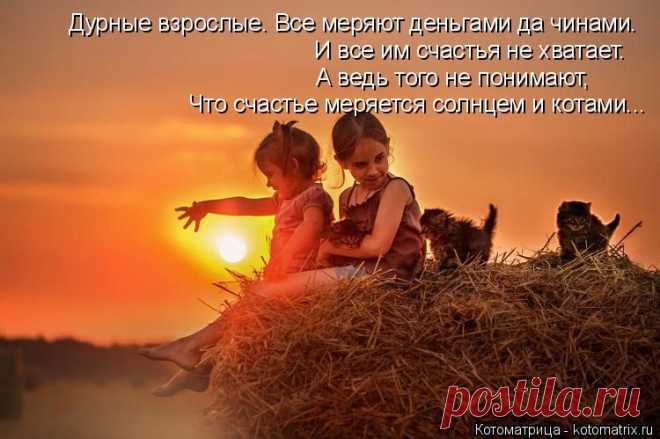 Котоматрица: Круть