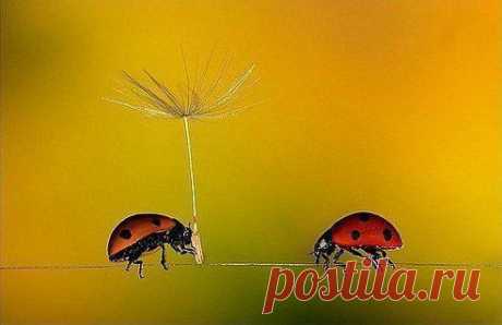 Иногда чудеса бывают такими крошечными, что люди их просто не замечают.


Детские футболки и футболки для ребёнка для мальчика футболки и для девочки
Размеры футболок для детей и цены на детские футболки выбирайте в интернет магазине необычных детских футболок.