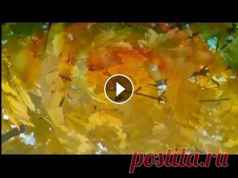 Футаж для осенних открыток  "осення радуга" Футаж для осенних открыток "осення радуга" Закажите видео - открытку. +7978 755 24 07; пишите мне на e- mail, l.dar2013@yandex.ua при добавл...