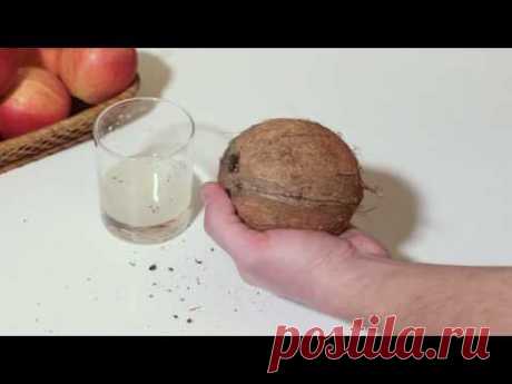 Как без усилий расколоть кокос - YouTube