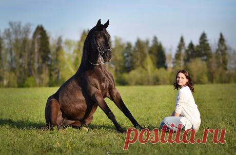 Фотограф Александра Бабичева