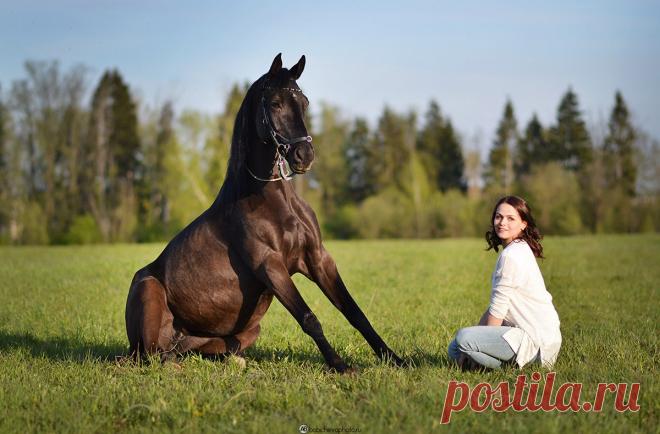 Фотограф Александра Бабичева