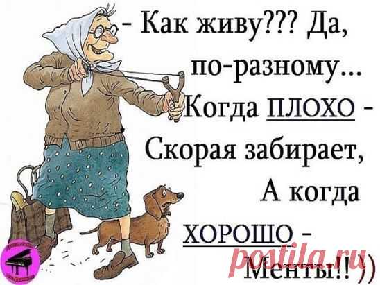 (40) Одноклассники