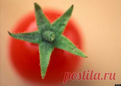 Питание для долголетия: 7 продуктов, которые продлят вашу жизнь