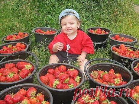 Лето удалось!