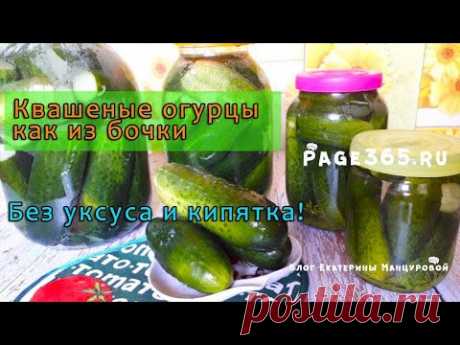 Квашеные огурцы на зиму в банках как бочковые. Длительное хранение в погребе!