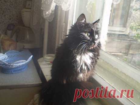 Задумчивый взгляд в окно...