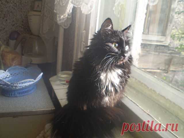 Задумчивый взгляд в окно...