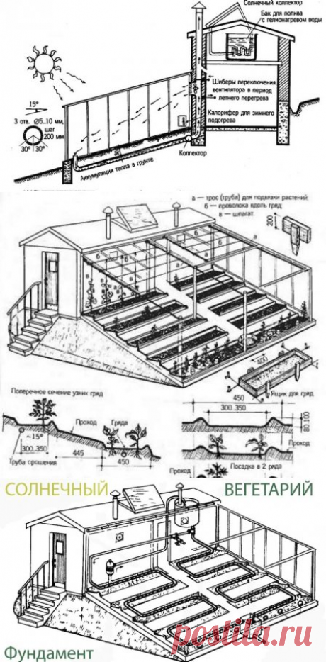 #солнечныйвегитарий #вегитарийиванова