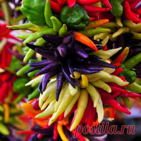 10 трав и специй, которые способствуют потере веса