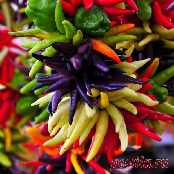 10 трав и специй, которые способствуют потере веса