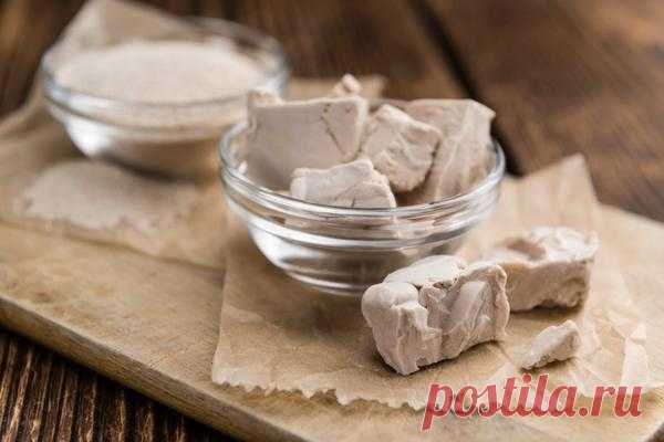 Как сделать дрожжевую подкормку для комнатных растений