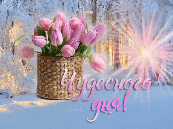 ༺🌸༻!