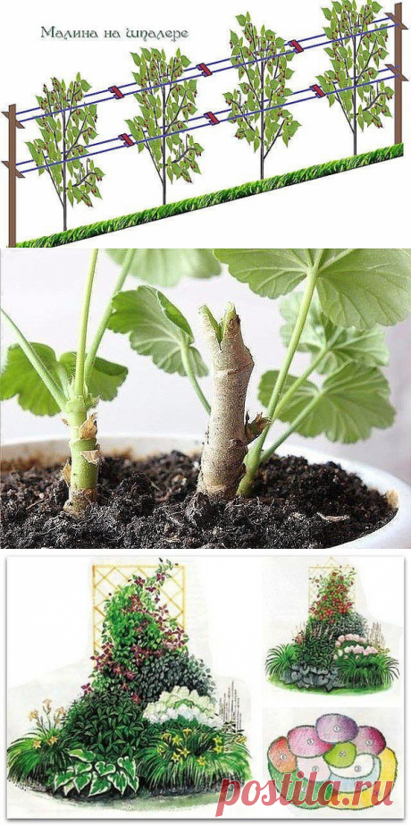 (99) Одноклассники