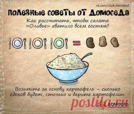 Полезные советы от Домоседа