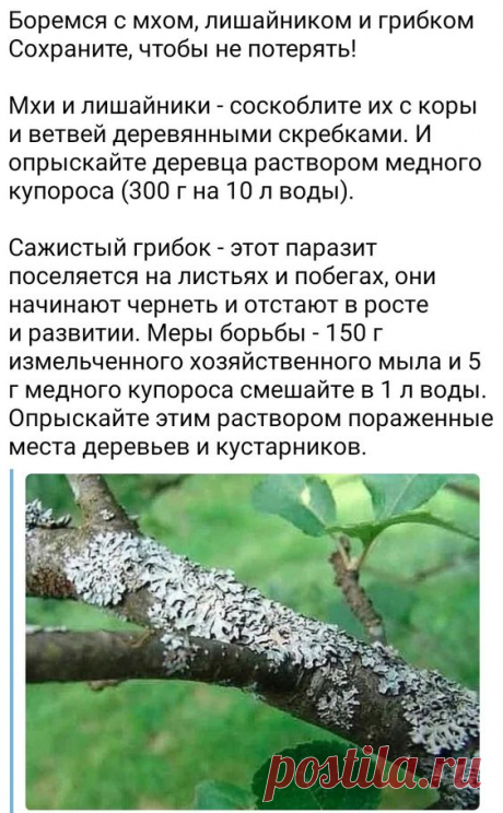 (1110) Pinterest