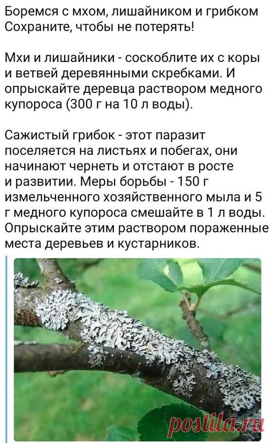 (1110) Pinterest