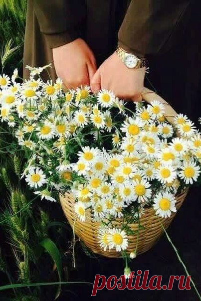 Красота — это вечность, длящаяся мгновение.

Альбер Камю