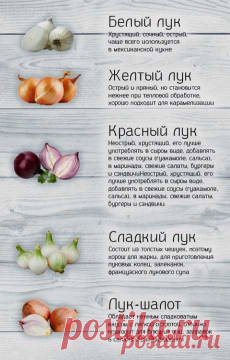 Поиск на Постиле: супы для похудения