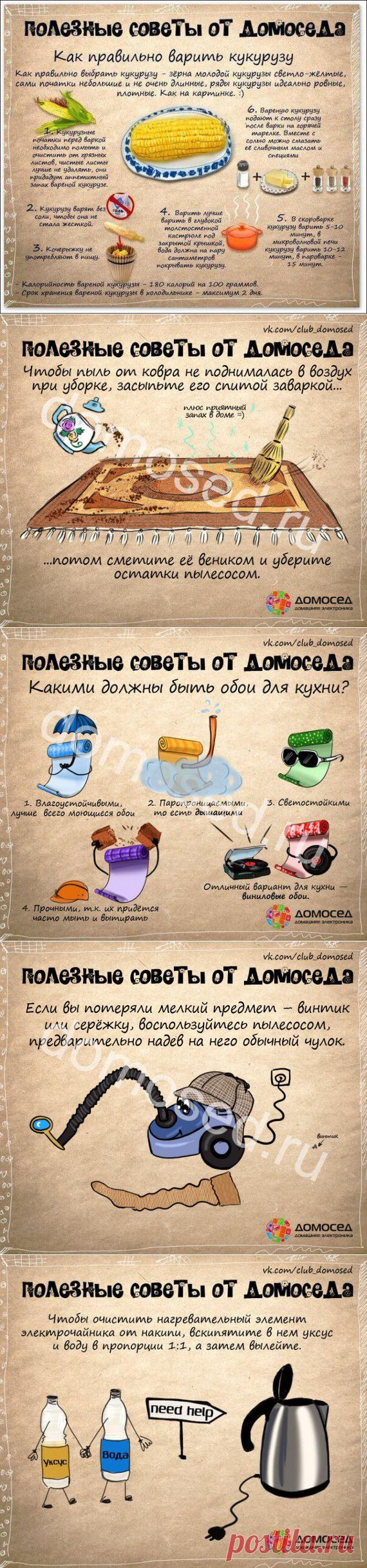 (+1) тема - Что пригодится в жизни: полезные советы | ВСЕГДА В ФОРМЕ!