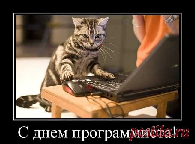 Поздравляю с Днем программиста! Пусть в рабочем коллективе царят позитив и взаимопонимание.