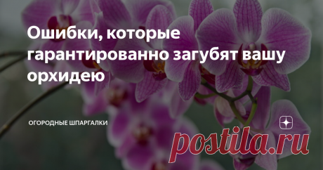 Ошибки, которые гарантированно загубят вашу орхидею Красота орхидеи привлекает к себе всех. Очень часто этот цветок преподносят в качестве презента, но ошибки, допущенные при осуществлении ухода, приводят к несвоевременной гибели растения.