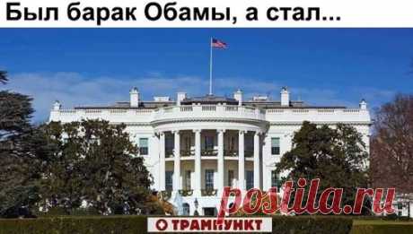 (3) Одноклассники